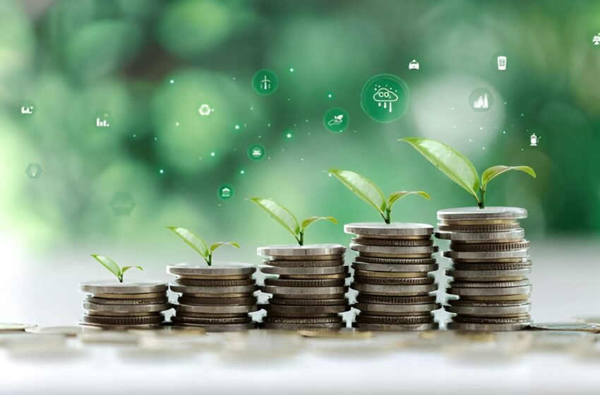  The Rise of Green Finance: Opportunities for Emerging Economies